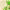 https://res.cloudinary.com/billionhands/image/upload/v1775114964/items/enzavf5vmmwz2kpnsikl.jpg-1cover