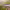 https://res.cloudinary.com/billionhands/image/upload/v1775115063/items/h9rgl2wrljjuzb1drkdb.jpg-0cover
