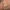 https://res.cloudinary.com/billionhands/image/upload/v1775115100/items/ouc31amsrltsquikj4r4.jpg-0cover