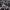 Growth of the Charismatic Movement in Indian Evangelical Churches (1960s) cover