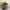 https://res.cloudinary.com/billionhands/image/upload/v1775115139/items/thfmq2yx1ltchncqzvzd.webp-3cover