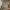 https://res.cloudinary.com/billionhands/image/upload/v1775115140/items/yqdjhhtlmsheptkiirdf.webp-1cover