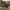 https://res.cloudinary.com/billionhands/image/upload/v1775115197/items/zmeu1dr2k2bwnf756ovu.webp-2cover