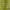 https://res.cloudinary.com/billionhands/image/upload/v1775115328/items/feqivjdnmbpxh4bjoqb6.jpg-1cover