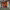 https://res.cloudinary.com/billionhands/image/upload/v1775115486/items/utgv5oijet4hbne4yxd4.jpg-0cover