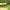 https://res.cloudinary.com/billionhands/image/upload/v1775115701/items/vtu696uwlugjc1zf1ulq.jpg-1cover