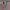 https://res.cloudinary.com/billionhands/image/upload/v1775115704/items/xez1twopglvjhmkxnuwj.jpg-0cover