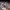 https://res.cloudinary.com/billionhands/image/upload/v1775115900/items/wdnpqfzejbug7jrvw2u2.jpg-1cover