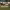 https://res.cloudinary.com/billionhands/image/upload/v1775116089/items/ngtehdrcgxx6rae0xqf2.jpg-0cover
