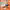 https://res.cloudinary.com/billionhands/image/upload/v1775116130/items/cjxaxrpi1dfhfzns2uv3.jpg-0cover