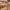 https://res.cloudinary.com/billionhands/image/upload/v1775116177/items/duzaezgc13hvh1uvuoay.webp-0cover