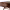 https://res.cloudinary.com/billionhands/image/upload/v1775116213/items/brfs5asbgmalhnxbtpzg.webp-2cover