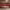 https://res.cloudinary.com/billionhands/image/upload/v1775116213/items/oxu53kc1n16zd8yheoby.webp-2cover