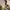 https://res.cloudinary.com/billionhands/image/upload/v1775120006/items/e8tpitrqvjil0fgmubhj.webp-3cover
