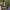 https://res.cloudinary.com/billionhands/image/upload/v1775120012/items/dlxp6pc9ixcyizcnll1p.webp-2cover