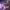 https://res.cloudinary.com/billionhands/image/upload/v1775124927/items/iuqxzlxpleeywmllbx3h.jpg-1cover