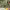 https://res.cloudinary.com/billionhands/image/upload/v1775124936/items/ol30r998ti4clhyfway8.jpg-2cover