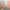 https://res.cloudinary.com/billionhands/image/upload/v1775126351/items/cg29xsalqxdbsant7nu7.jpg-3cover