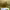 https://res.cloudinary.com/billionhands/image/upload/v1775130510/items/ivyahzw2cp62hniy7f7a.jpg-1cover