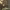 https://res.cloudinary.com/billionhands/image/upload/v1775130510/items/ov5djai9ty069iqt1s50.jpg-0cover