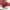 https://res.cloudinary.com/billionhands/image/upload/v1775133009/items/tituej05blgfmzthjnbq.jpg-3cover