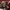 https://res.cloudinary.com/billionhands/image/upload/v1775135809/items/cgjs6rskq2wyggts9oaw.jpg-2cover