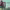 https://res.cloudinary.com/billionhands/image/upload/v1775135832/items/vhi3zi313bcxixa3ofxz.jpg-3cover