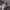 https://res.cloudinary.com/billionhands/image/upload/v1775137067/items/a785oj39wkktkazw4yrl.jpg-2cover
