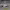 https://res.cloudinary.com/billionhands/image/upload/v1775137506/items/jmlswrurf0gtelqglce7.jpg-2cover