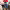 https://res.cloudinary.com/billionhands/image/upload/v1775137683/items/ugpbunlytavqhn2lmffy.webp-3cover