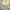https://res.cloudinary.com/billionhands/image/upload/v1775138539/items/pl2lgagjrtxpybff0zfh.webp-3cover