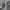 https://res.cloudinary.com/billionhands/image/upload/v1775138695/items/lblqqbvhgssolp2kkl9y.webp-3cover