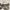 https://res.cloudinary.com/billionhands/image/upload/v1775141638/items/fcmx0yefgg8sotkdsf1p.webp-2cover