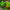 https://res.cloudinary.com/billionhands/image/upload/v1775141644/items/vie0axm2rk424mz5jwg9.jpg-1cover