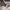 https://res.cloudinary.com/billionhands/image/upload/v1775142884/items/bgdsl7oxkp7vgid6evv8.jpg-2cover