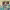 https://res.cloudinary.com/billionhands/image/upload/v1775142900/items/bcc8rriuzxrdrspuugld.jpg-2cover