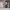 https://res.cloudinary.com/billionhands/image/upload/v1775143171/items/ihtvm6quajixivcq1wss.jpg-0cover