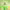 https://res.cloudinary.com/billionhands/image/upload/v1775143229/items/mqof6vw5opbzsadubxqo.jpg-2cover