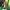 https://res.cloudinary.com/billionhands/image/upload/v1775143413/items/w37eejjdlpp8b2siaqwd.jpg-1cover