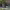 https://res.cloudinary.com/billionhands/image/upload/v1775145127/items/qzvynnpih6ccbwifgoxs.jpg-1cover