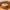 https://res.cloudinary.com/billionhands/image/upload/v1775145516/items/viyn1ggzqahkgwpz4f2o.png-3cover