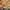 https://res.cloudinary.com/billionhands/image/upload/v1775145521/items/bsxrkb712y5abmzlm42u.webp-0cover