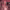 https://res.cloudinary.com/billionhands/image/upload/v1775146058/items/sh0vlpnccf0e2kd8myaw.jpg-2cover