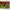 https://res.cloudinary.com/billionhands/image/upload/v1775146085/items/libjwtyep6uu45fmgsdd.webp-1cover