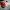 https://res.cloudinary.com/billionhands/image/upload/v1775146325/items/t2vadgwgam4bba8yixft.png-0cover