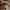 https://res.cloudinary.com/billionhands/image/upload/v1775146328/items/iecgecv1nx0pxtwton2q.jpg-0cover