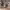 https://res.cloudinary.com/billionhands/image/upload/v1775146425/items/glqafkxsmgskb6b3wyjv.jpg-2cover