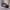 https://res.cloudinary.com/billionhands/image/upload/v1775146653/items/vvke2wlgaqa6rwojzaig.webp-2cover