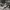 https://res.cloudinary.com/billionhands/image/upload/v1775146719/items/ltcg2kcwmr8ikl7o29w6.jpg-3cover