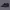 https://res.cloudinary.com/billionhands/image/upload/v1775146770/items/wdrdjsuf7lkom95grgf0.webp-0cover